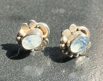 Pair of Silver Earrings