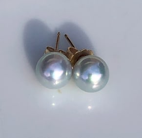 Pair of 14K Gold Sea Pearl Earrings