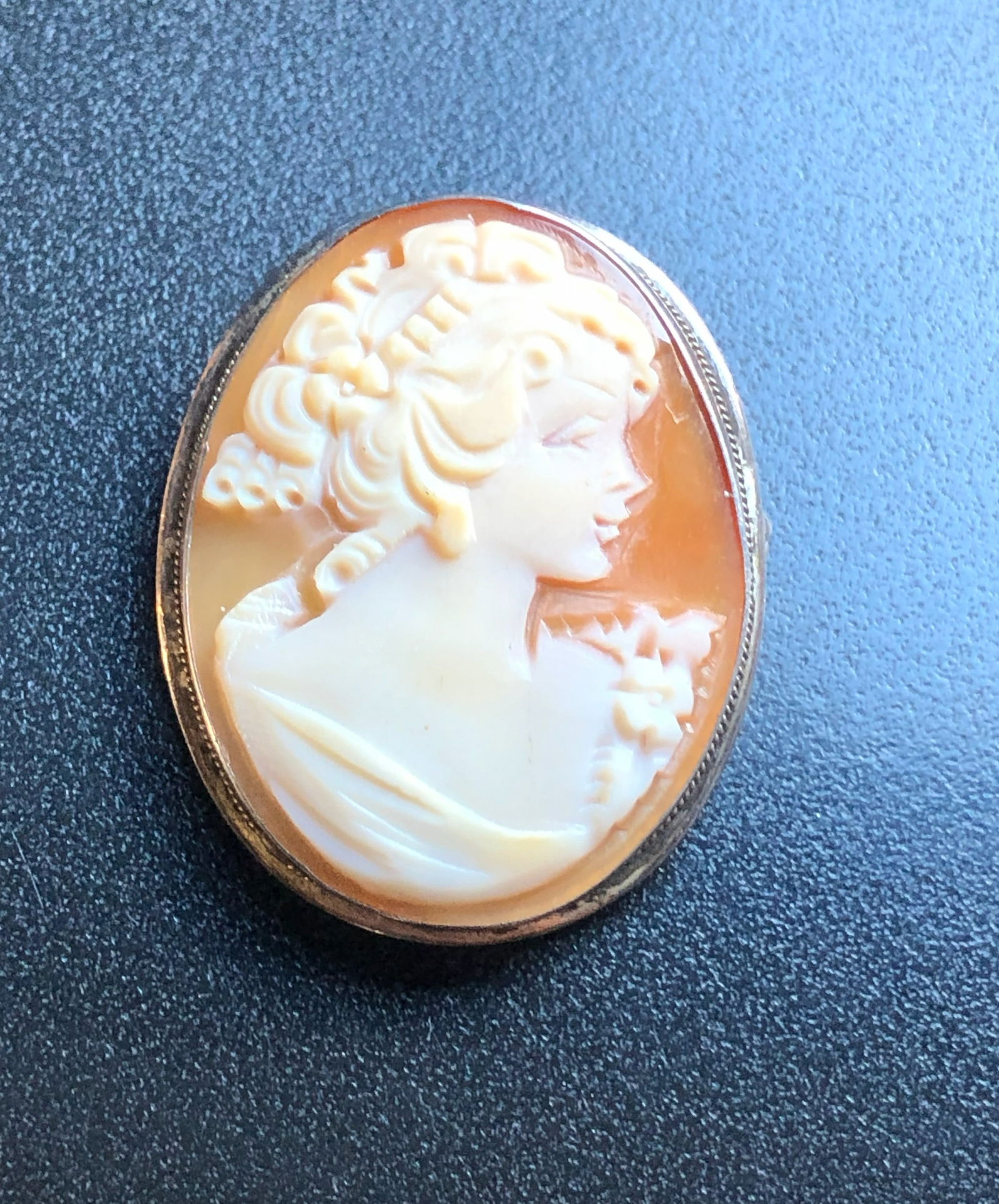 Cameo Silver Brooch (1 of 3)