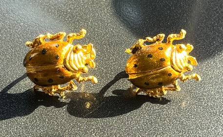 Pair of Lady Bug Earrings