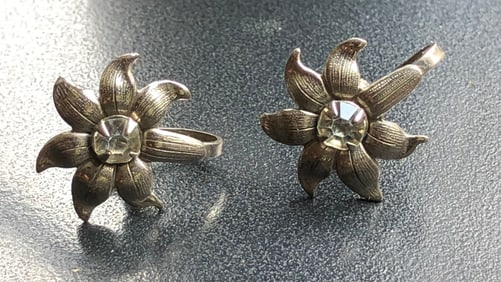 Pair of Silver Earrings