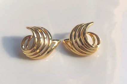 Pair of Earrings
