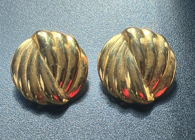 Pair of Earrings