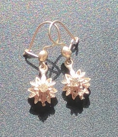 Pair of Silver Earrings