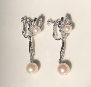 Pair of Earrings