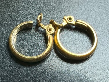 Pair of Gold Filled Earrings
