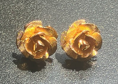 Pair of Earrings