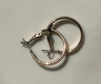 Pair of Earrings