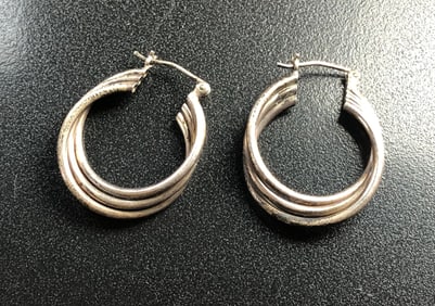 Pair of Earrings