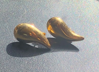 Pair of Earrings