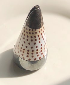 Vintage Shell display