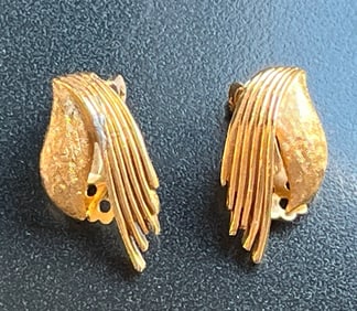 Pair of Earrings