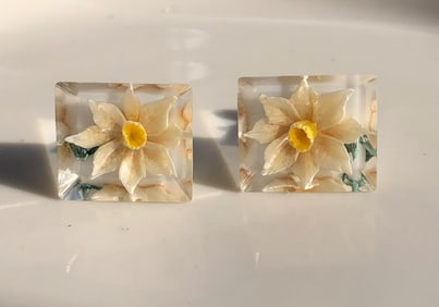 Pair of Earrings