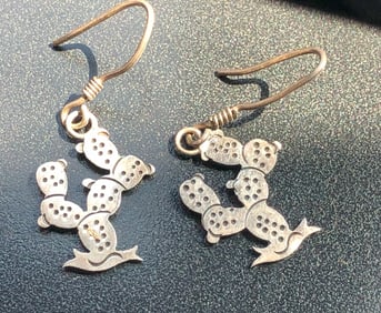 Pair of Silver Earrings