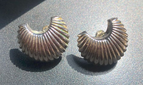 Pair of Earrings