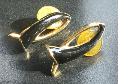 Pair of Earrings