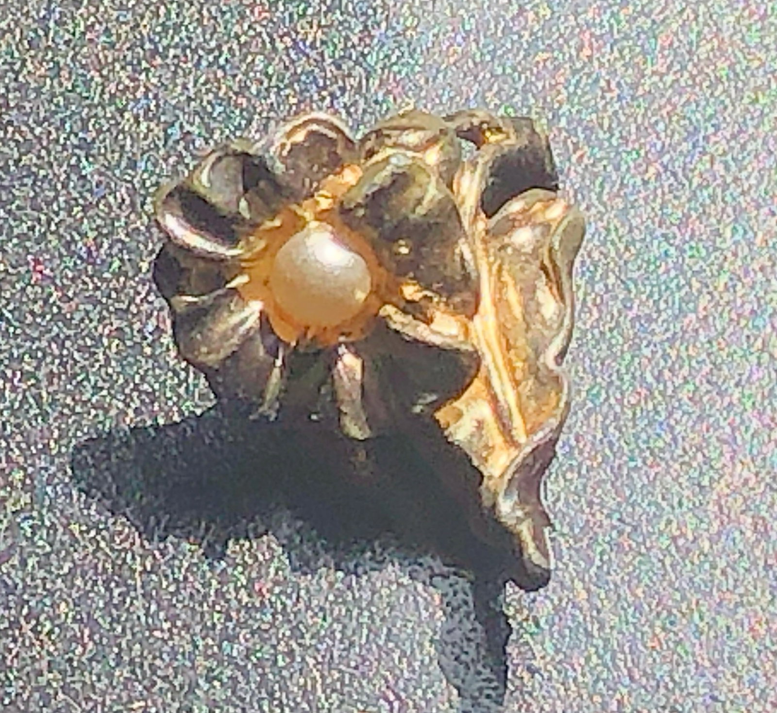 Vintage Gold filled Brooch Pin: Vintage Gold filled Brooch Pin