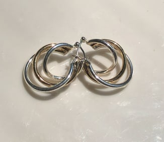 Pair of Earrings