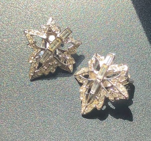 Pair of Earrings