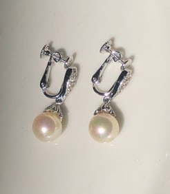 Pair of Earrings