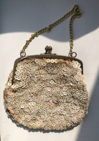 Sequin Beaded Clutch