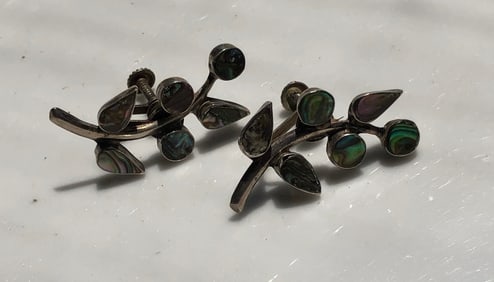 Pair of Silver Earrings