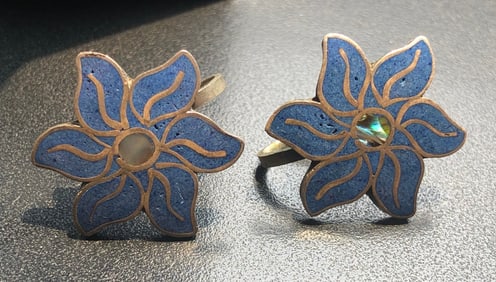 Pair of Silver Earrings