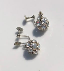 Pair of Earrings