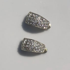 Pair of Earrings