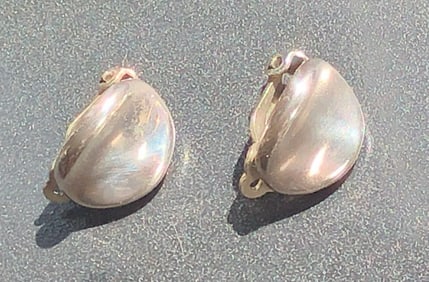 Pair of Silver Earrings