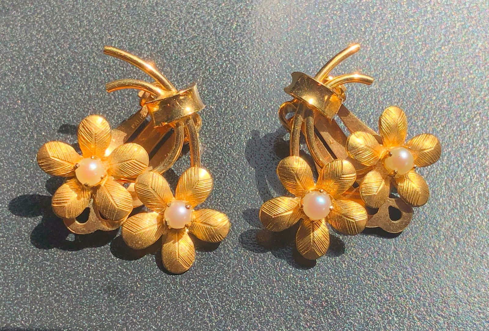 Pair of Gold Filled Earrings: Pair of Gold Filled Earrings