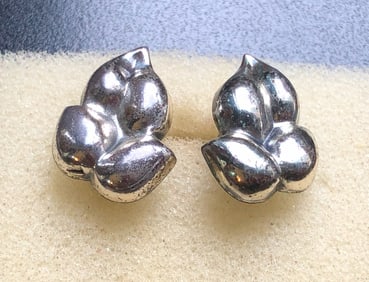 Pair of Silver Earrings