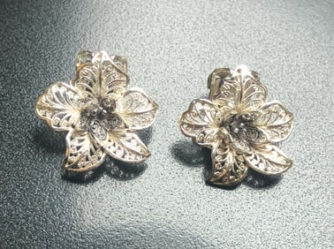 Pair of Silver Earrings