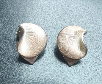Pair of Silver Earrings