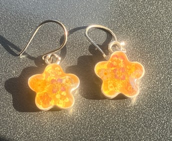 Pair of Silver Earrings