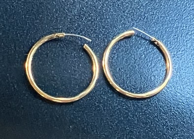 Pair of Gold Filled Earrings