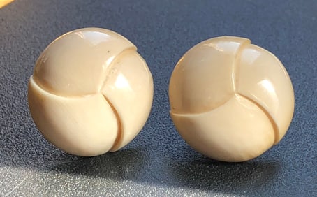 Pair of Carved Earrings