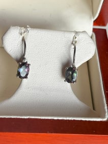 Pair of Silver Earrings
