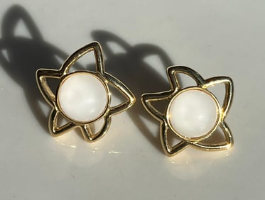 Pair of Earrings