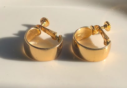 Pair of Earrings