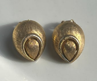Pair of Earrings