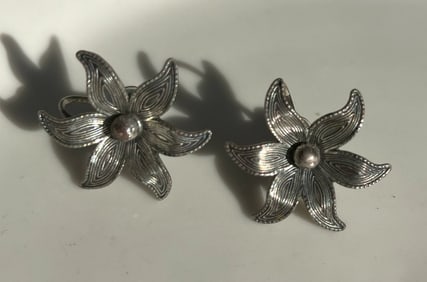 Pair of  Silver Earrings
