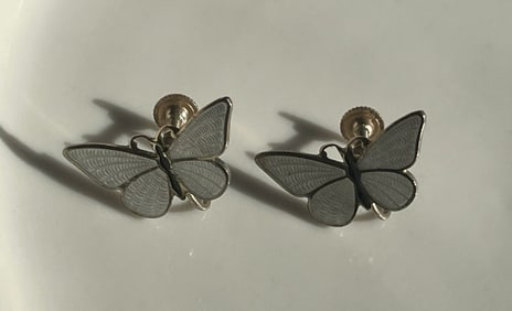 Pair of Earrings