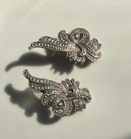 Pair of Earrings