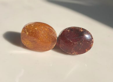 Pair of amber Earrings