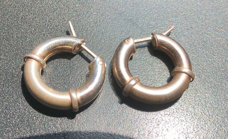 Pair of Silver Earrings