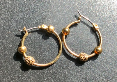 Pair of Earrings