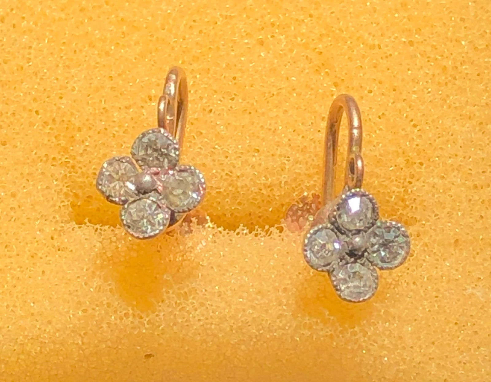 Pair of Earrings: Pair of Earrings