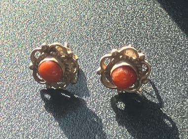 Pair of Silver Earrings