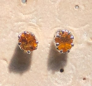 Pair of Silver Earrings